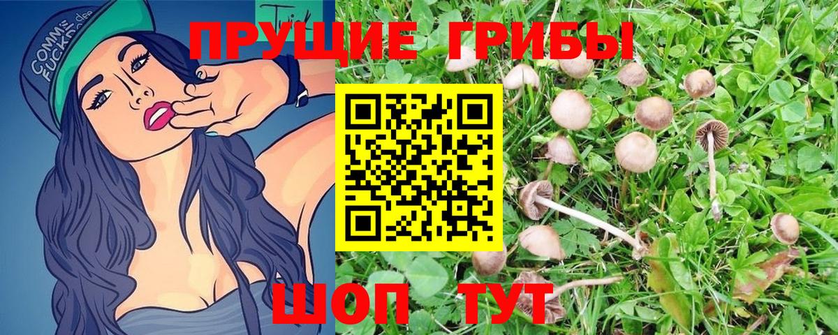 Псилоцибиновые грибы MAGIC MUSHROOMS Лабинск