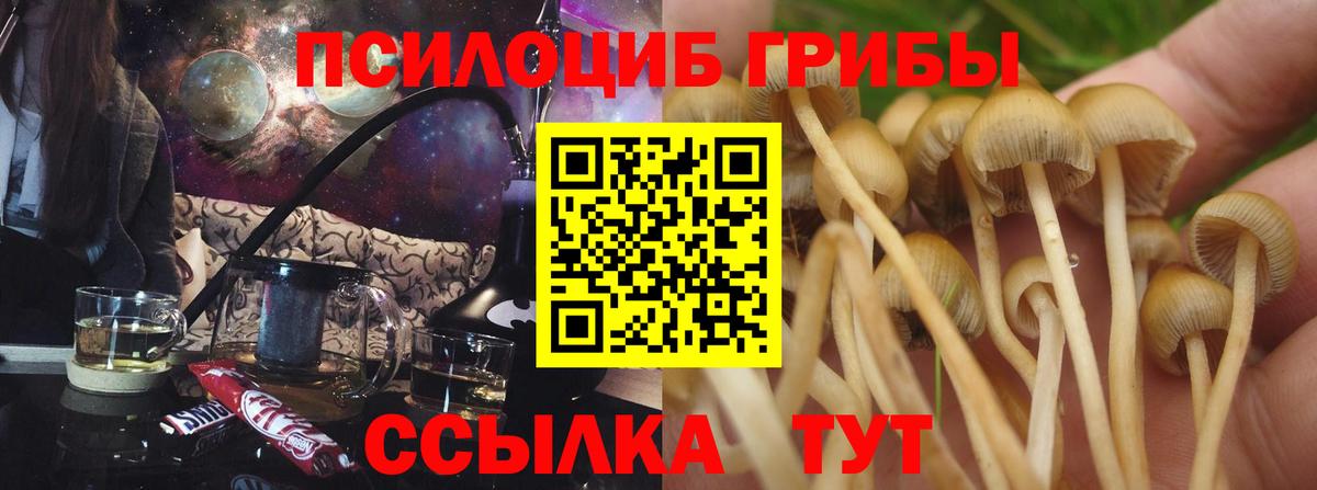 Псилоцибиновые грибы MAGIC MUSHROOMS  Вход с VPN  Галлюциногенные грибы MAGIC MUSHROOMS  Лабинск 